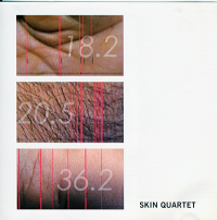 Image of Skin Quartet-Louisa Bufardeci & David Young