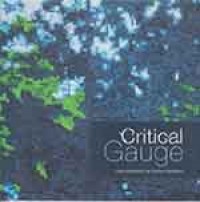 Critical Gauge